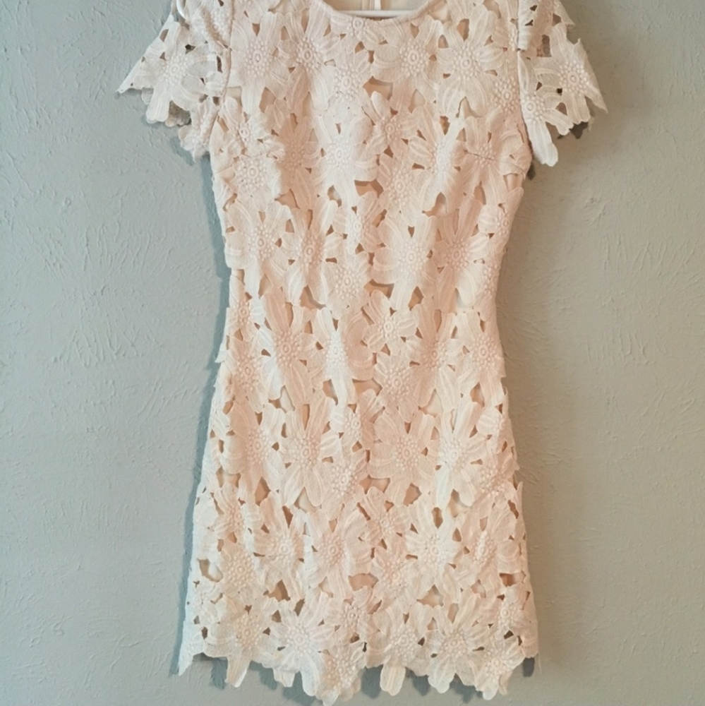 Blush lace mini dress
